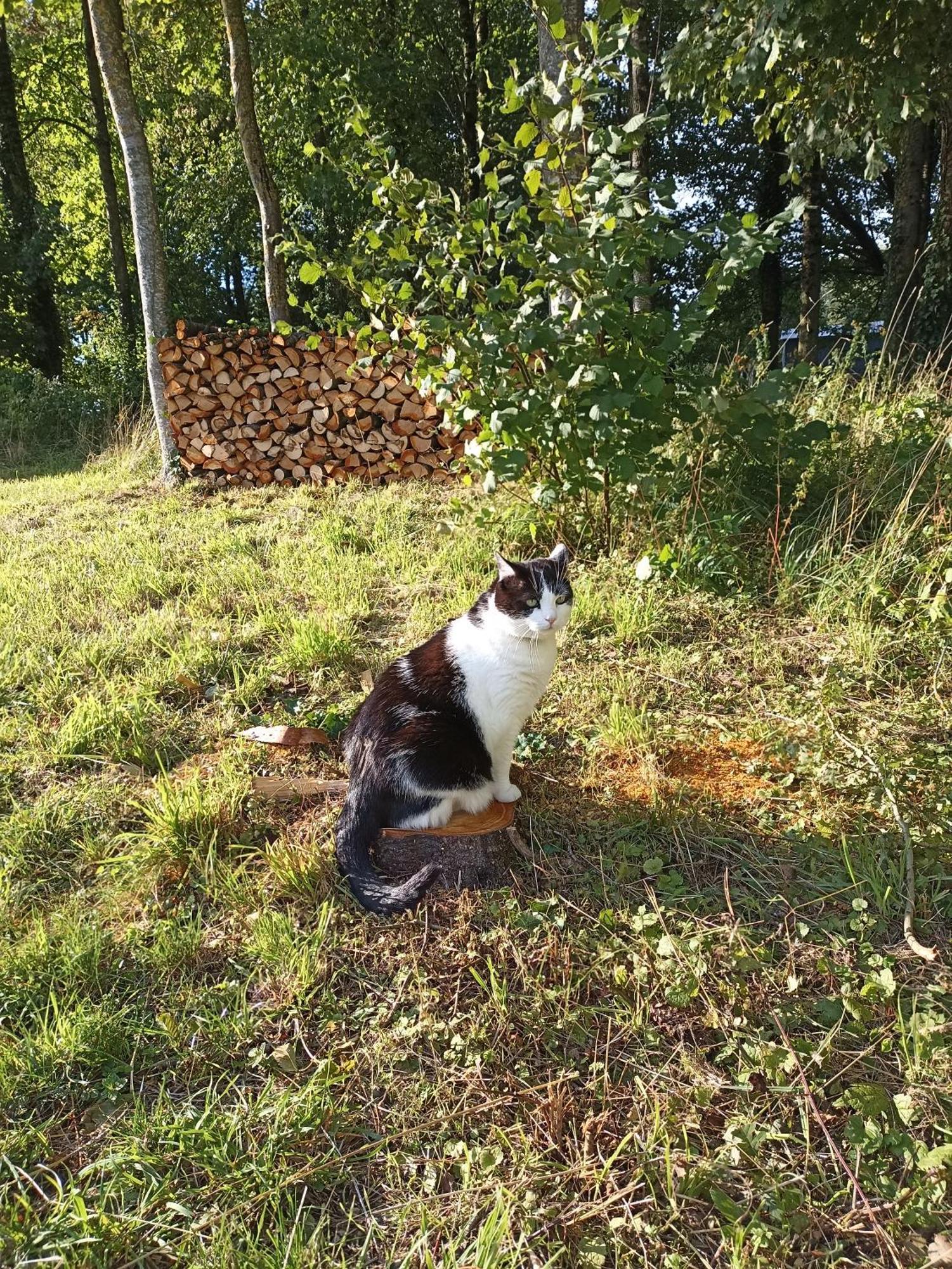 Aubréville Gite Nature Et Detente מראה חיצוני תמונה
