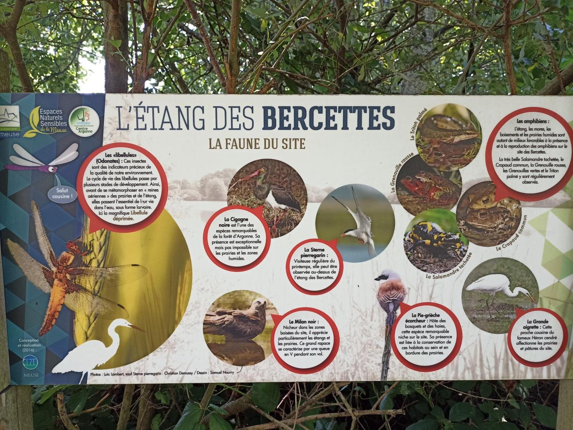 Aubréville Gite Nature Et Detente מראה חיצוני תמונה