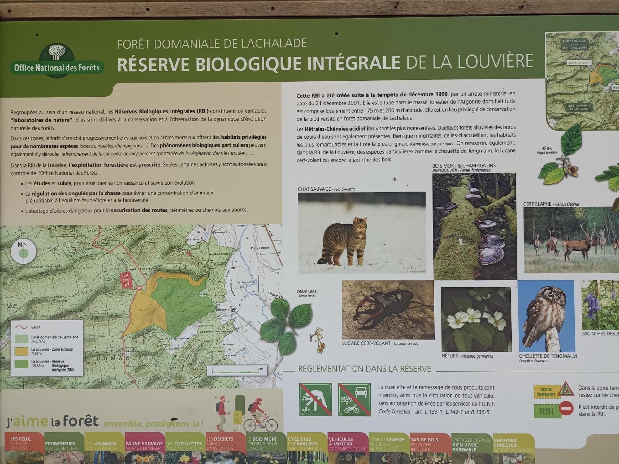 Aubréville Gite Nature Et Detente מראה חיצוני תמונה
