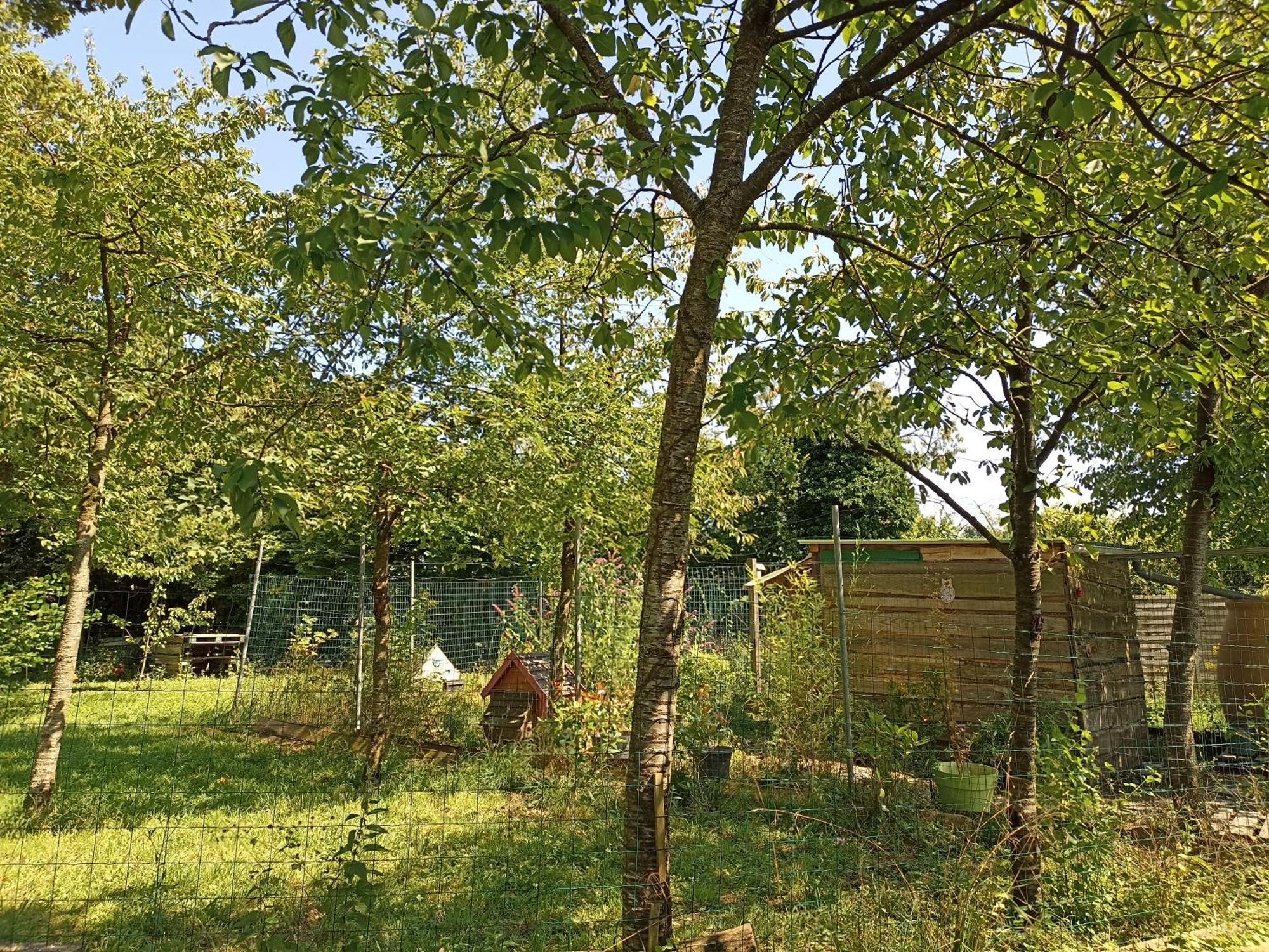 Aubréville Gite Nature Et Detente מראה חיצוני תמונה