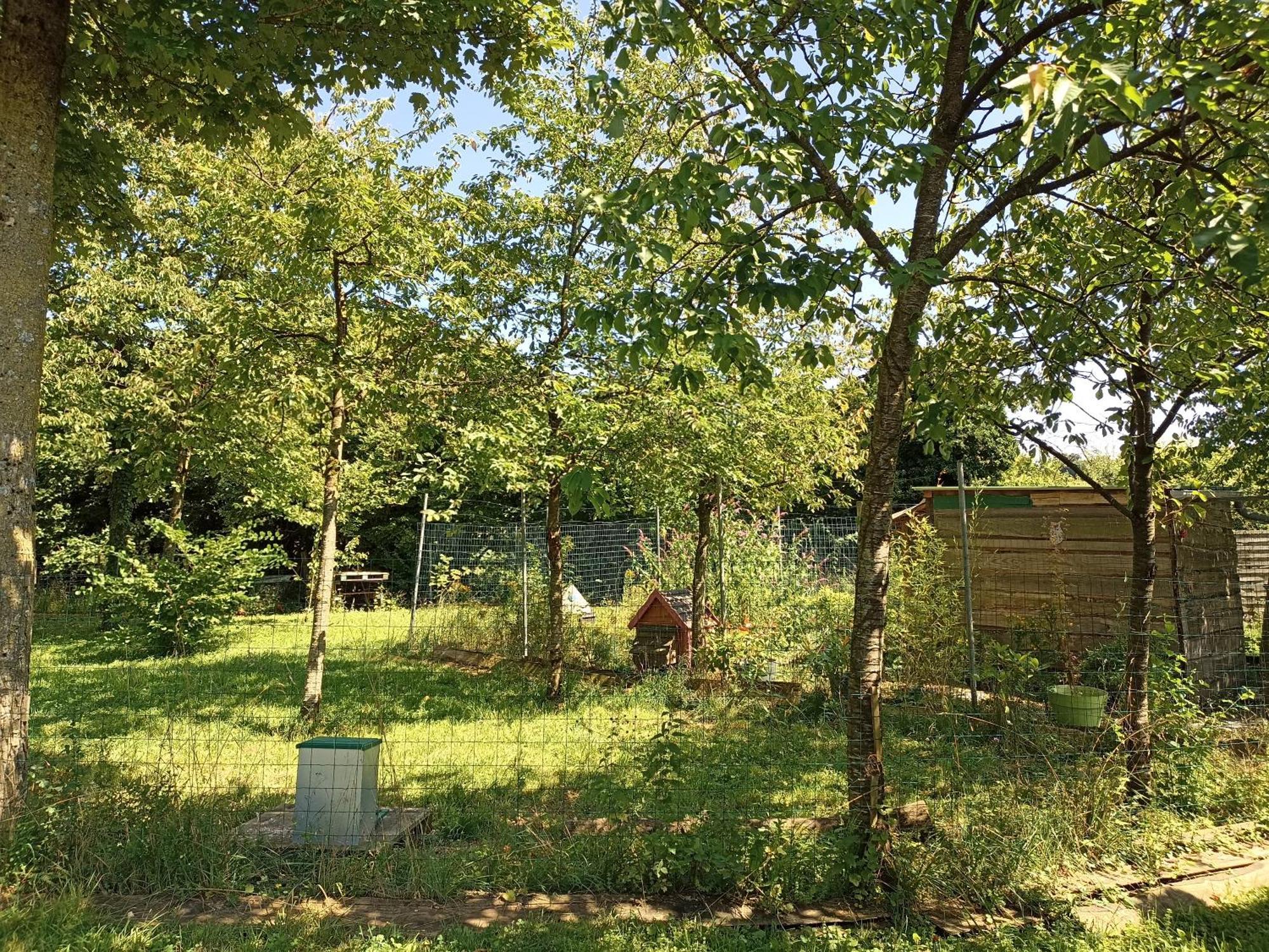 Aubréville Gite Nature Et Detente מראה חיצוני תמונה