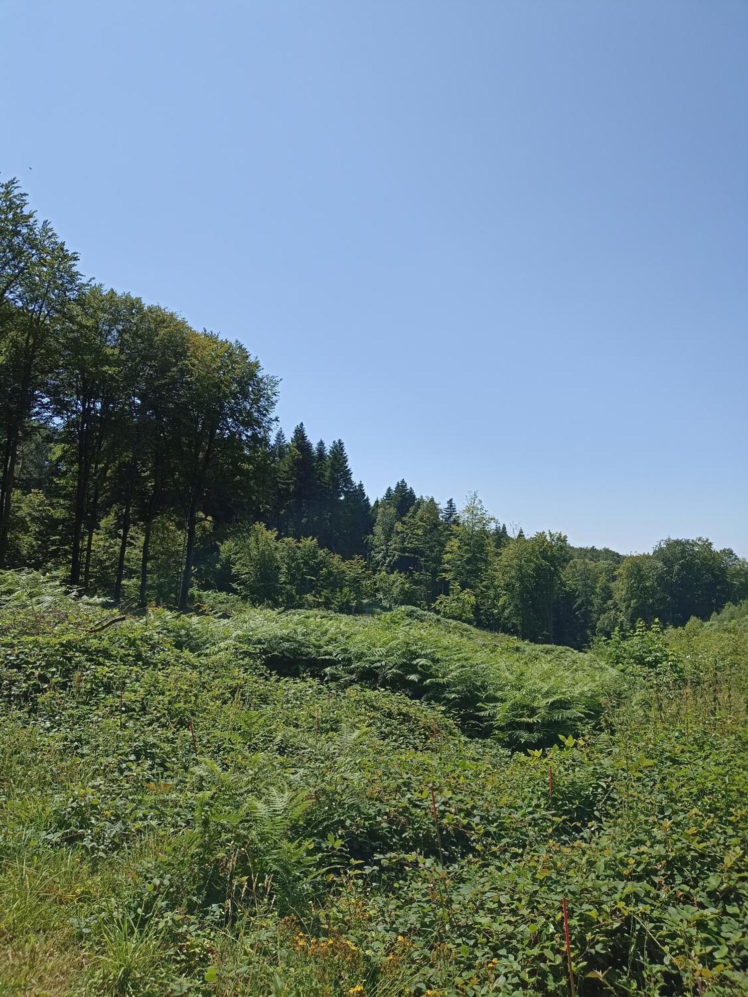 Aubréville Gite Nature Et Detente מראה חיצוני תמונה