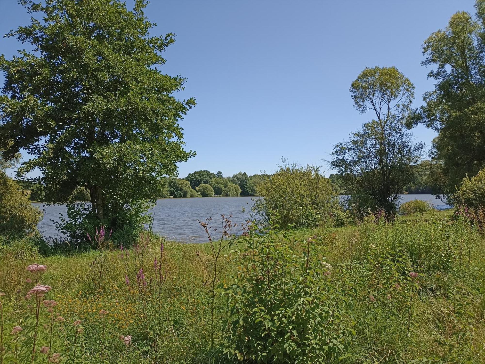 Aubréville Gite Nature Et Detente מראה חיצוני תמונה